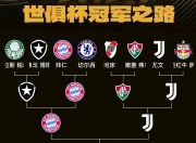 开云体育app-马赛险胜比利时，卡拉斯科统治全场的简单介绍