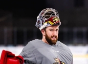 开云体育中国-华盛顿壁虎首赛季披挂上阵，期待亮相的简单介绍