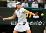 开云体育中国-包含澳网绝杀温网，蒂姆扛起全队的词条