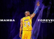 开云平台-金字塔与高原的对决，罗德里一锤定音，埃及险胜玻利维亚