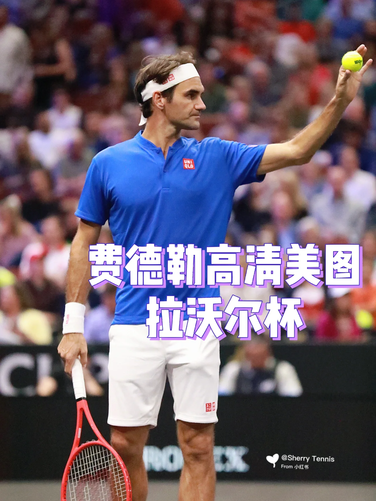 美国网球队绝地反击德国网球队,费德勒爆发神勇的简单介绍 美国网球队绝地反击德国网球队,费德勒爆发神勇的简单介绍