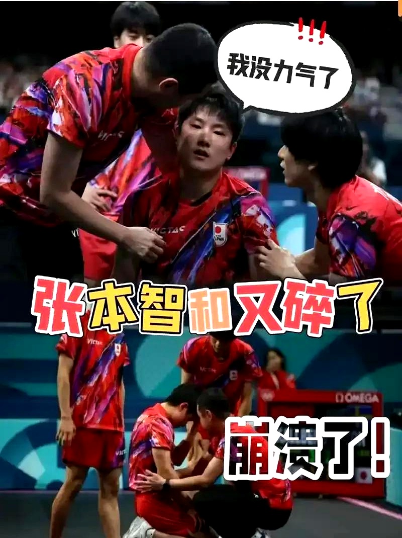 关于中国乒乓球队险胜法国乒乓球队,张本智和关键制胜的信息 关于中国乒乓球队险胜法国乒乓球队,张本智和关键制胜的信息