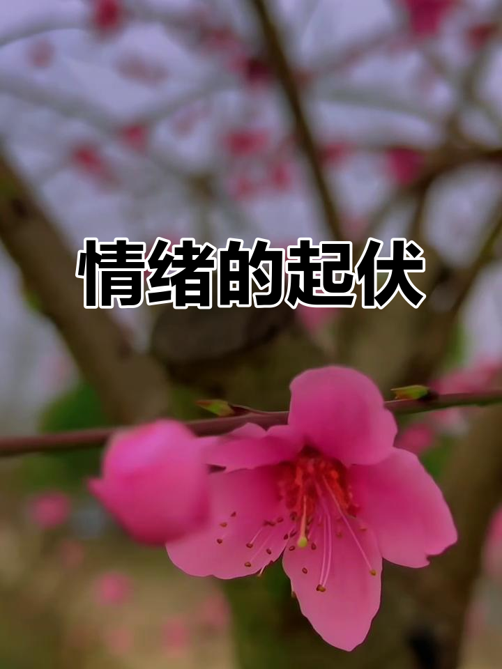 包含队员情绪波动备战,拼搏精神或成为胜负关键的词条 包含队员情绪波动备战,拼搏精神或成为胜负关键的词条