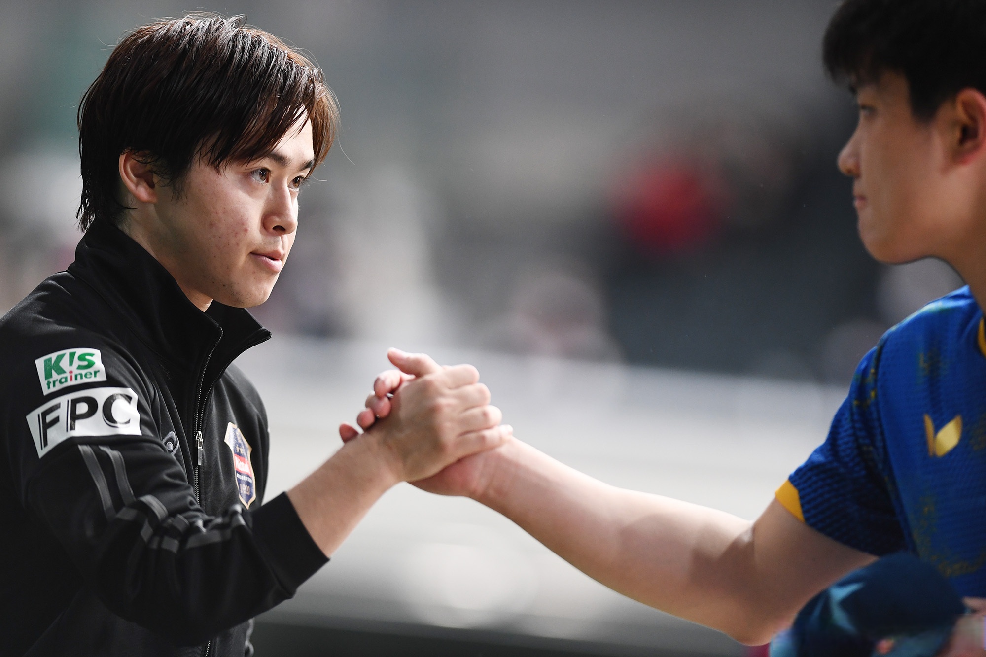 包含日本队完胜奥地利队,张本智和扛起全队的词条 包含日本队完胜奥地利队,张本智和扛起全队的词条