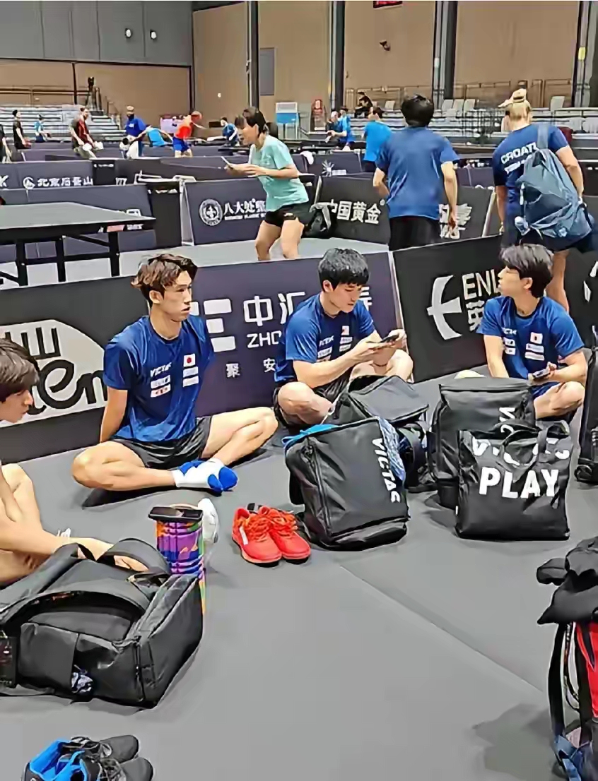 包含日本队完胜奥地利队,张本智和扛起全队的词条 包含日本队完胜奥地利队,张本智和扛起全队的词条